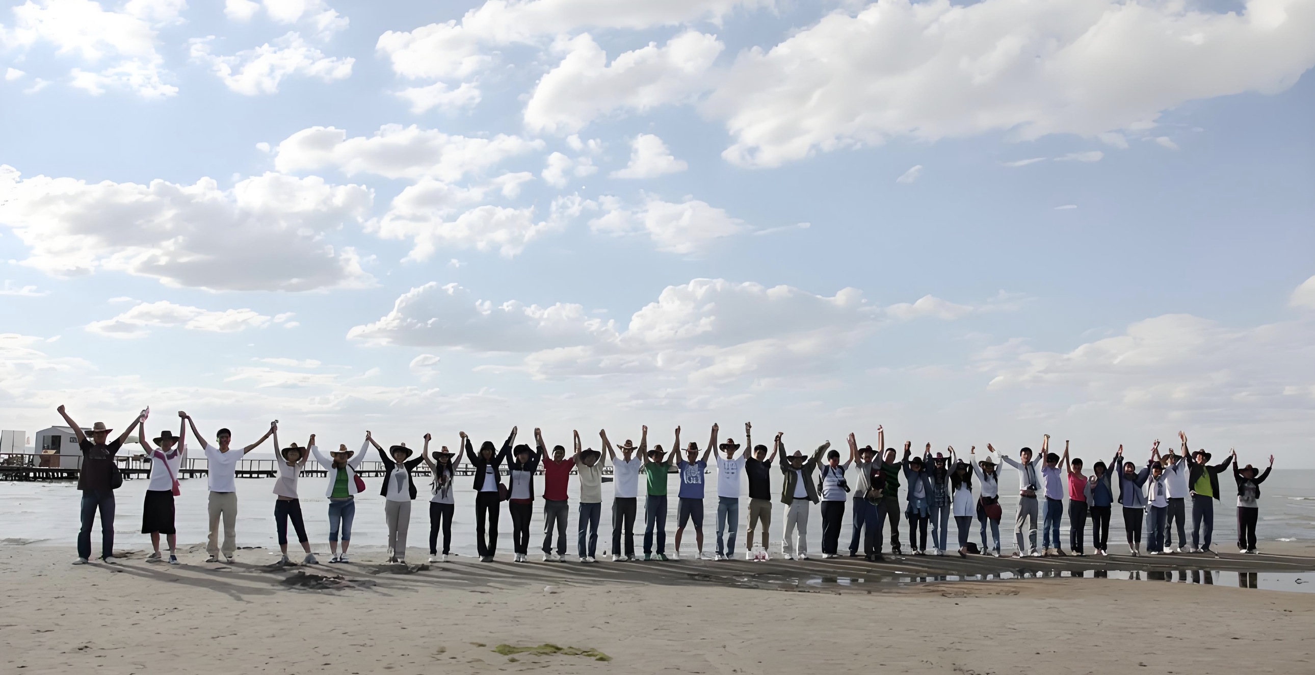 2331_副本 2331_副本